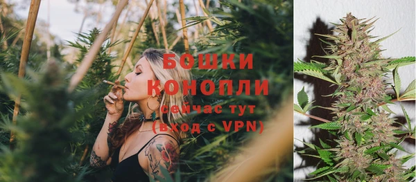 спиды Белокуриха