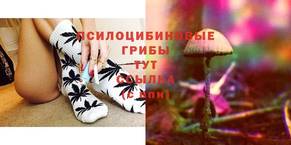 mdpv Пролетарск
