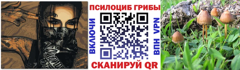 закладка  Обь  Галлюциногенные грибы прущие грибы 